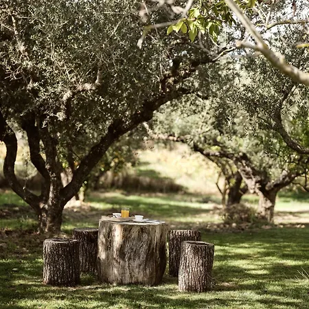 Vila Hora Ionica Villa, Private Pool & 10acre Greenland, By Thinkvilla *